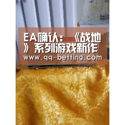 EA确认：《战地》系列游戏新作将于2018年发布【网球】