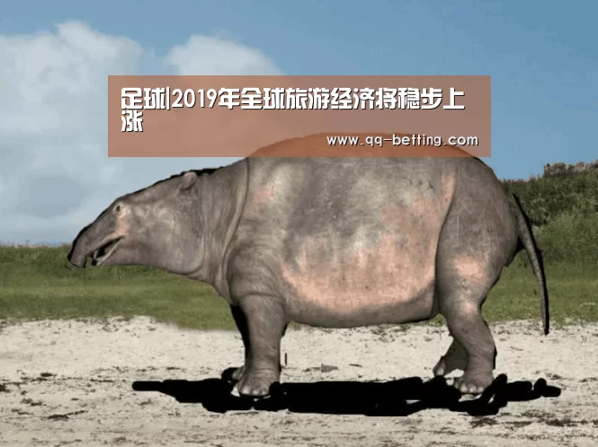 足球|2019年全球旅游经济将稳步上涨(图3) 足球